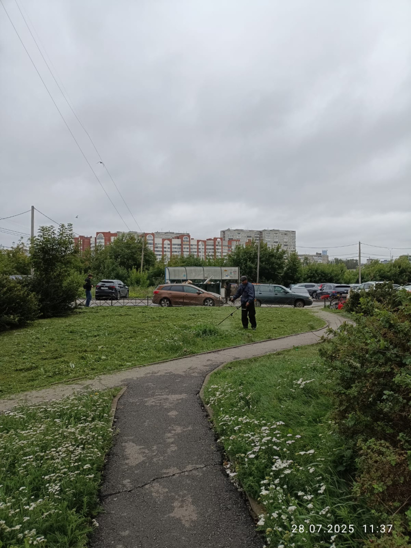 покос травы 28.07.25.jpeg