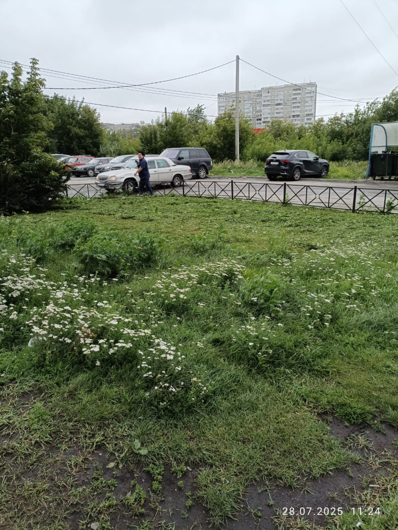 начало.jpeg