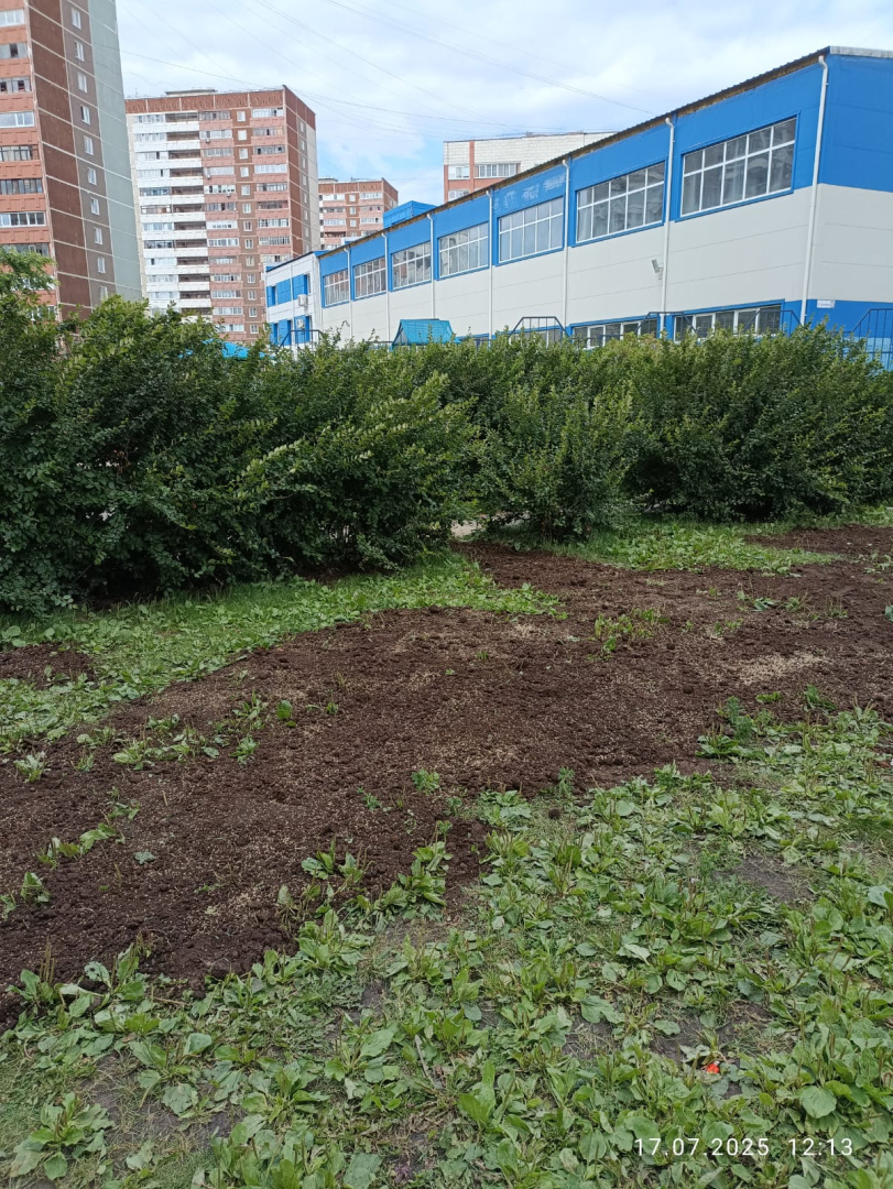 посев травы 1.jpeg